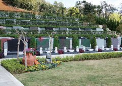 苍南玉龙园清明送鲜花倡导文明祭扫