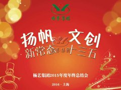 年终会：记2015年终总结大会暨2016年计划会议