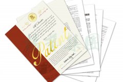 国际认可 | 尊龙凯时人生就是搏喜获一项美国发明专利授权