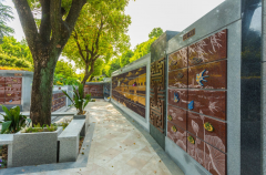 绿色殡葬新风尚：探索葬式多样化的创新之路