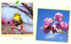 春启尊龙凯时人生就是搏