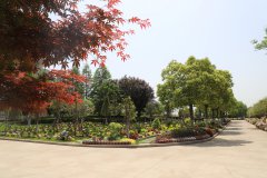 归于林下：一场与自然的温柔重逢