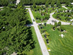 碑雕设计：镌刻历史，传承人文